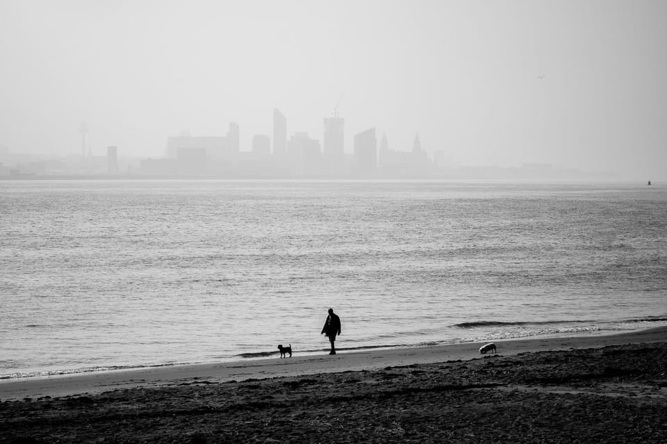 A man walks his dog along the water's edge of the River Mersey. In the background is the Liverpool skyline.